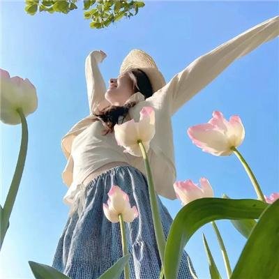 哈兰·科本的庇护所